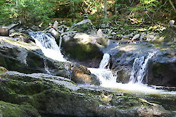 Landhotel für Wandergruppen * Wanderhotel  im Bayerischen Wald * Wanderfahrt